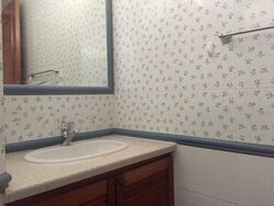 The Blossomvale (D21), Condominium #554546411